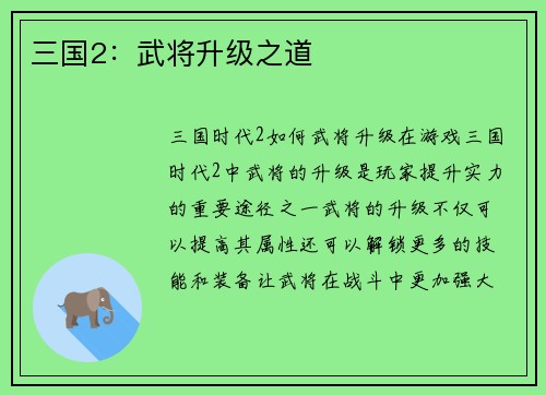 三国2：武将升级之道